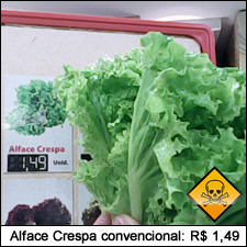 Alface Crespa convencional: R$ 1,49