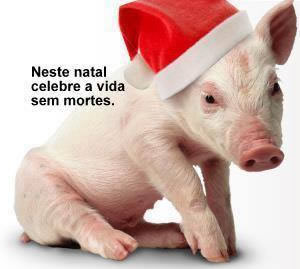 Neste Natal celebre a vida sem mortes.