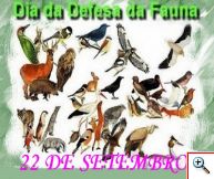 FAUNA PASSAROS_ANIMAIS_NATUREZA_ECOLOGIA